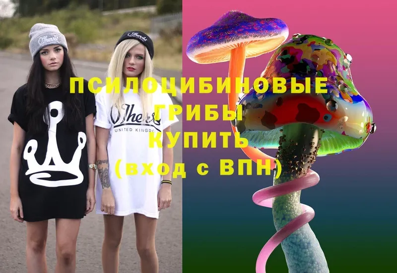 MEGA зеркало  Кинель  Галлюциногенные грибы Cubensis  купить  